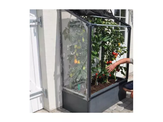 Potager mural premium à adosser avec couverture de protection Hauteur 180 cm