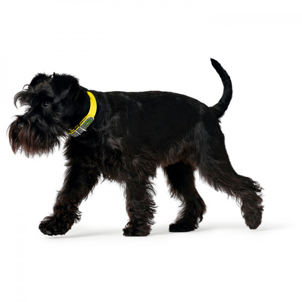 Hunter - Collar Convenience - Collier pour chien