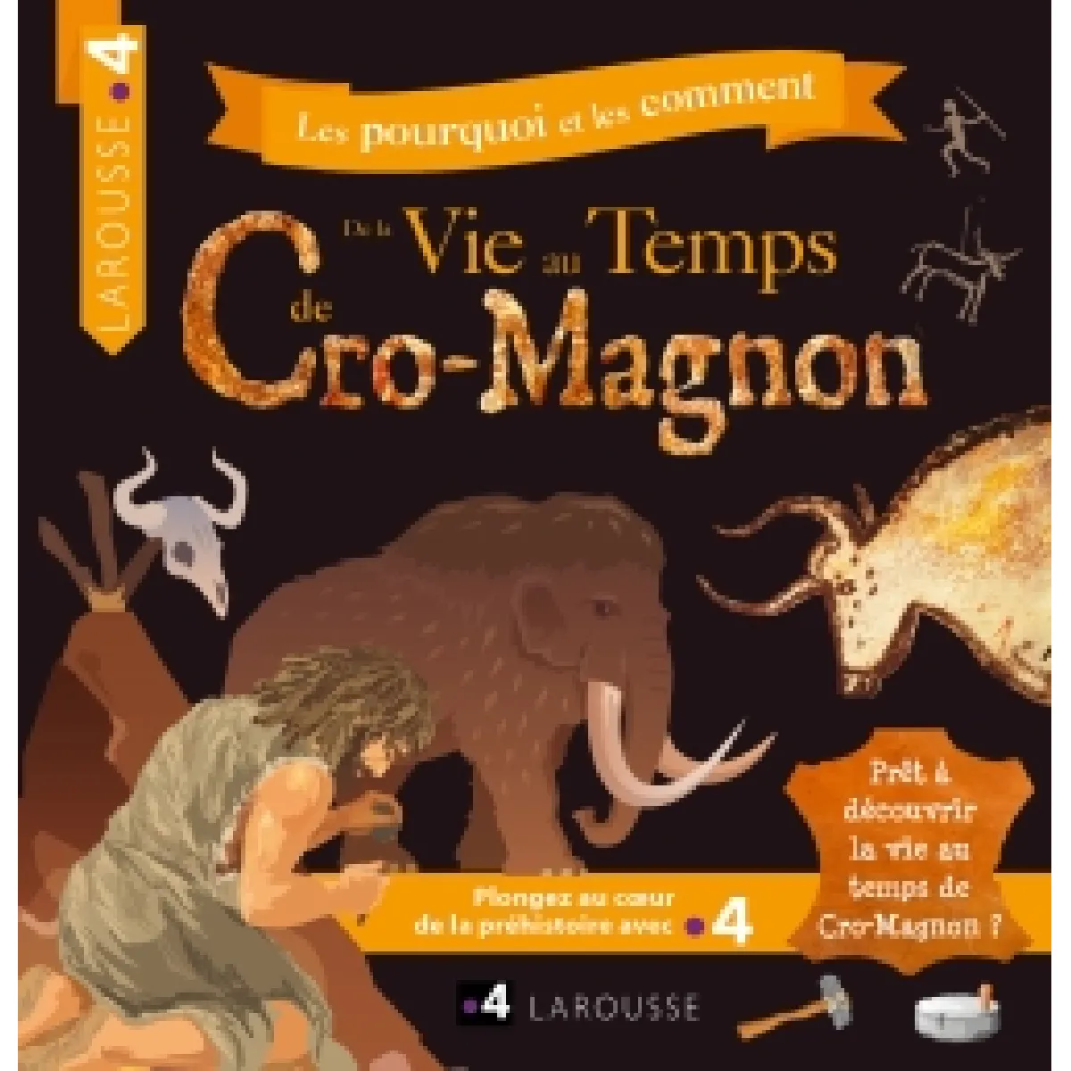 Les pourquoi et les comment. De la vie au temps de Cro-Magnon · Occasion