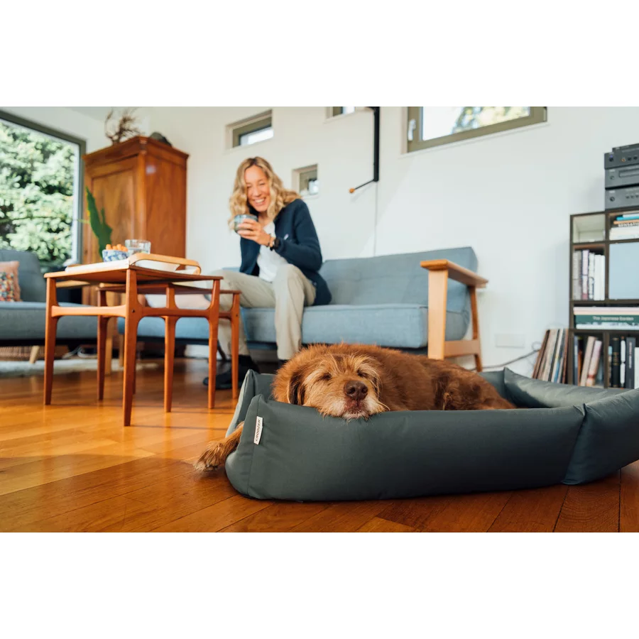 CROOZER Hundeanhänger Dog Mikke Colourful Journey