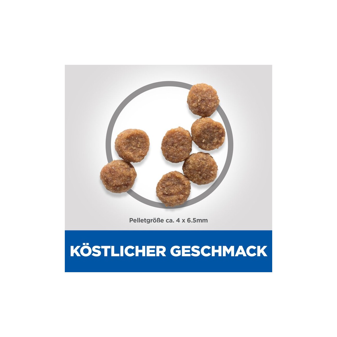 Hill's Science Plan Small & Miniature Puppy mit Huhn 3 kg