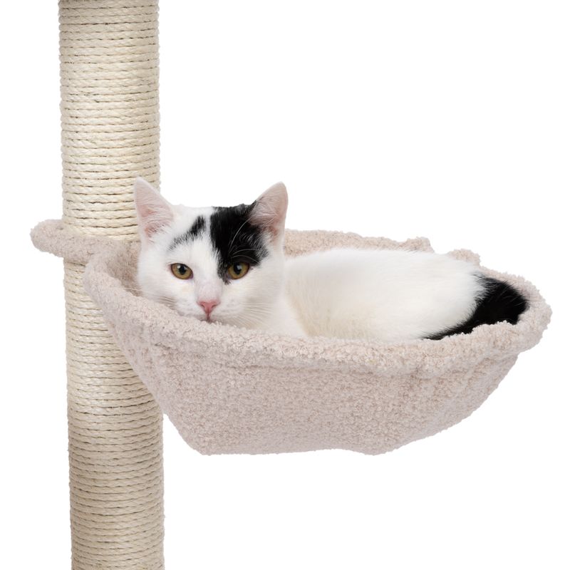 Arbre à chat TIAKI Shearly