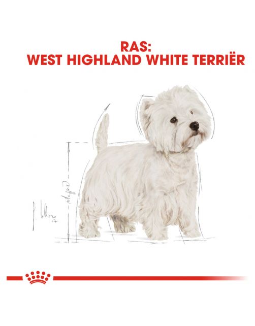 Royal Canin West Highland White Terrier Adult - Hondenvoer