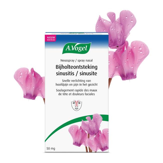 A. Vogel Bijholte Onsteking Neusspray 50 gr