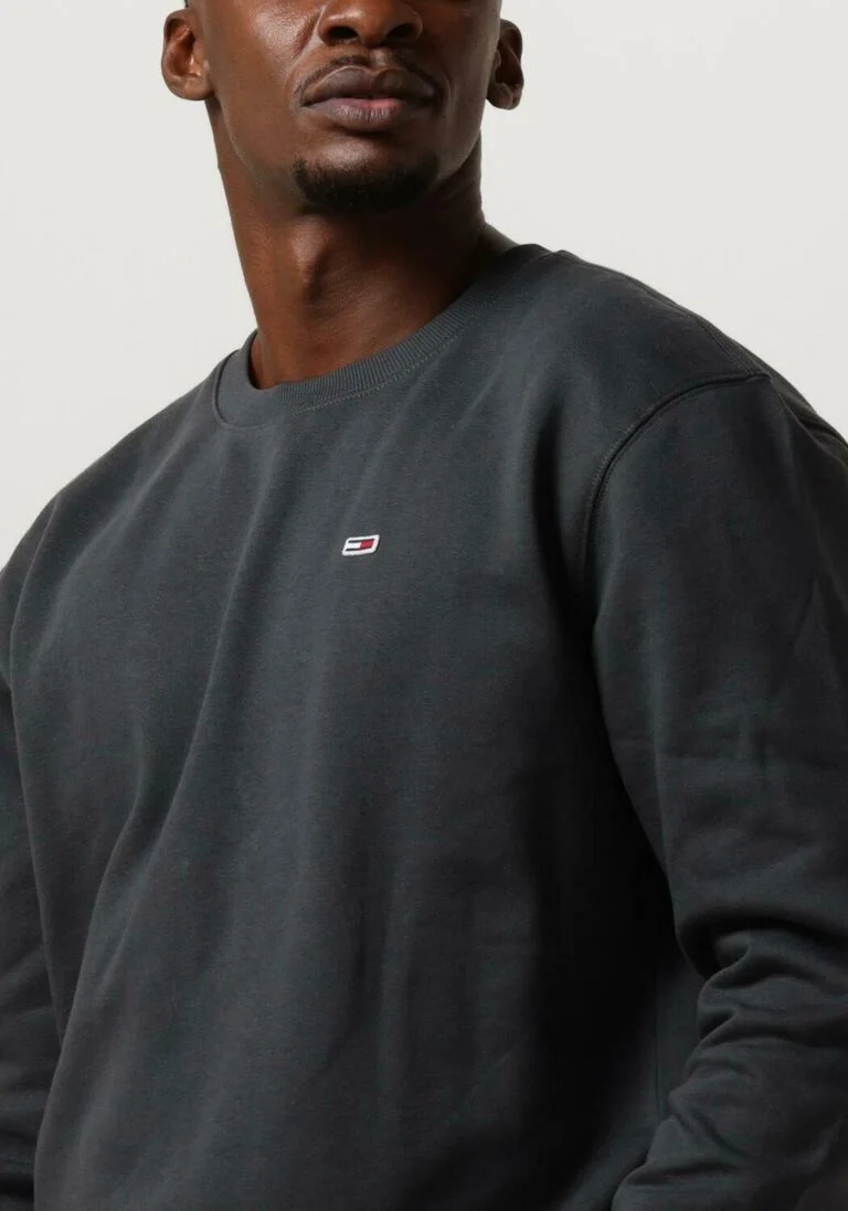 TOMMY JEANS donkergrijze tommy jeans sweater tjm regular fleece c neck