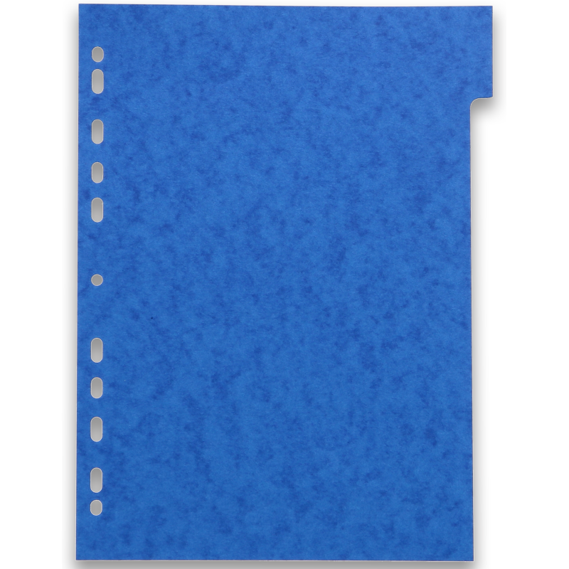 Intercalaires neutres A4 12 positions carte lustree 225g assorti
