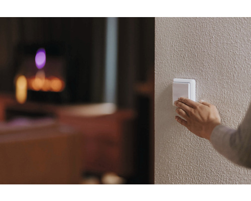 NEXENTRO Zigbee 2-weg drukknopinterface 230V