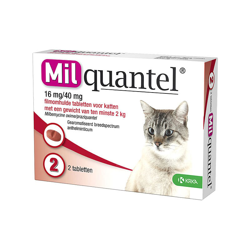 Milquantel Grote Kat (>2 kg) 16 mg ontwormingstablet
