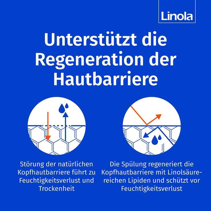 Linola Haar- und Kopfhautspülung, 200 ml