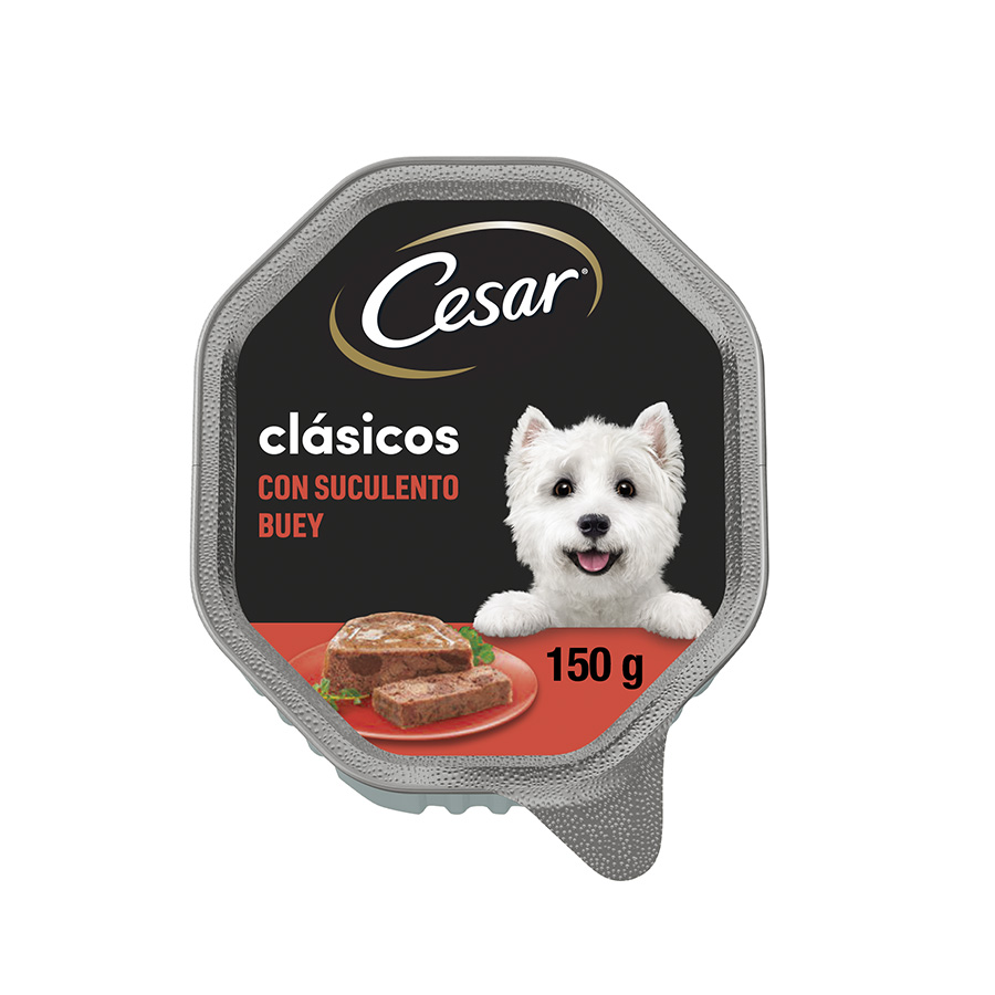 Cesar Buey Patê Pot para Cães
