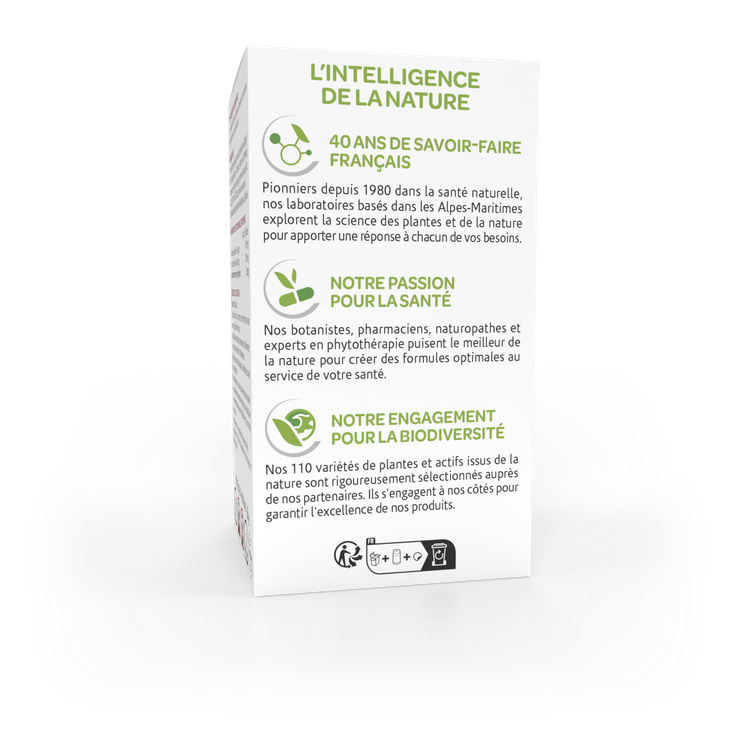 Arkogélules Ginkgo mémoire 150 gélules