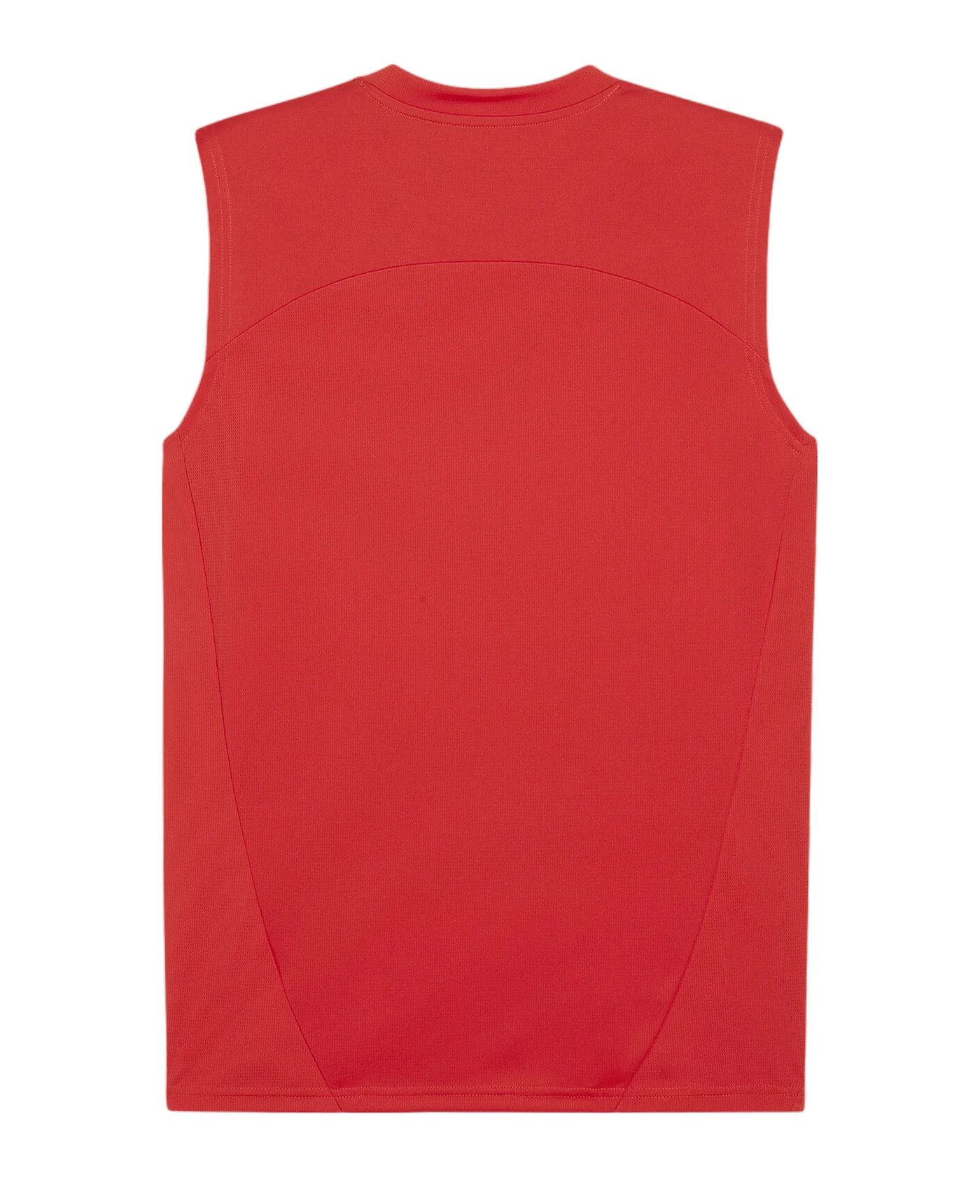 PUMA teamFINAL Tanktop Rot F01