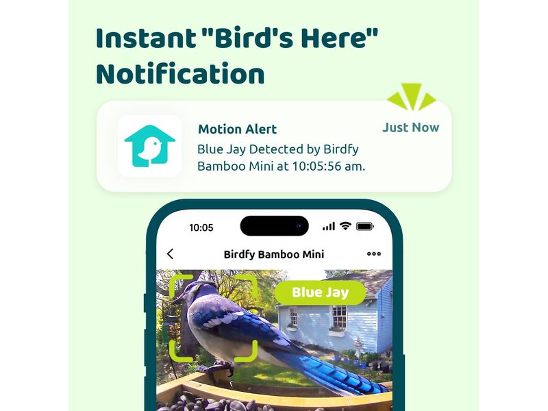 Birdfy Futterspender FSC Bambus Mini Solar Vogelfutterspender mit Kamera und Lifetime AI