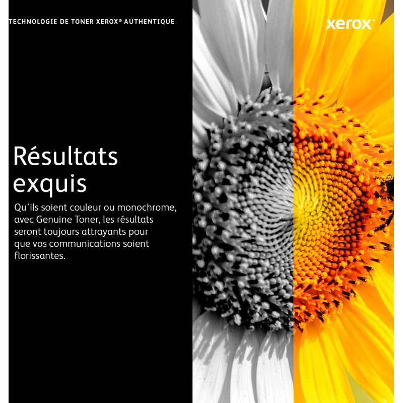 Xerox Cartouche de toner Magenta de Très haute capacité Imprimante couleur ® VersaLink® C400/multifonctions ® VersaLink® C405 (8000 pages) - 106R03531