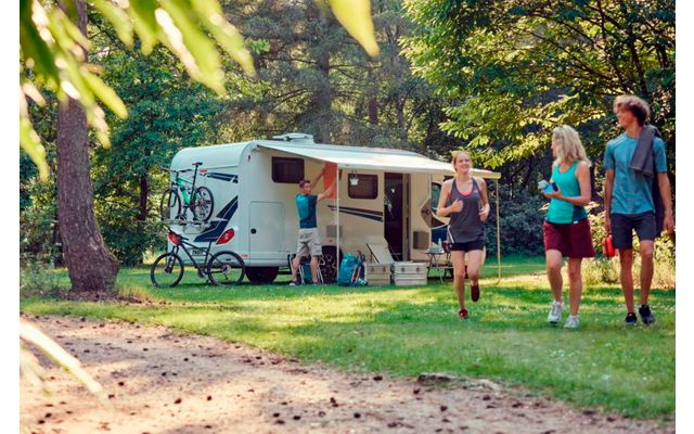 Thule Omnistor 5200 Wandmarkise mit Motor Gehäusefarbe Eloxiert Tuchfarbe Mystic Grau