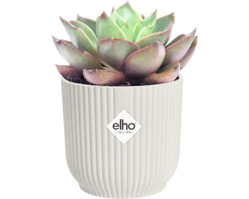elho Vibes opvouwbare ronde mini plantenbak, kunststof, Ø 9,3 cm, H 8,8 cm, wit