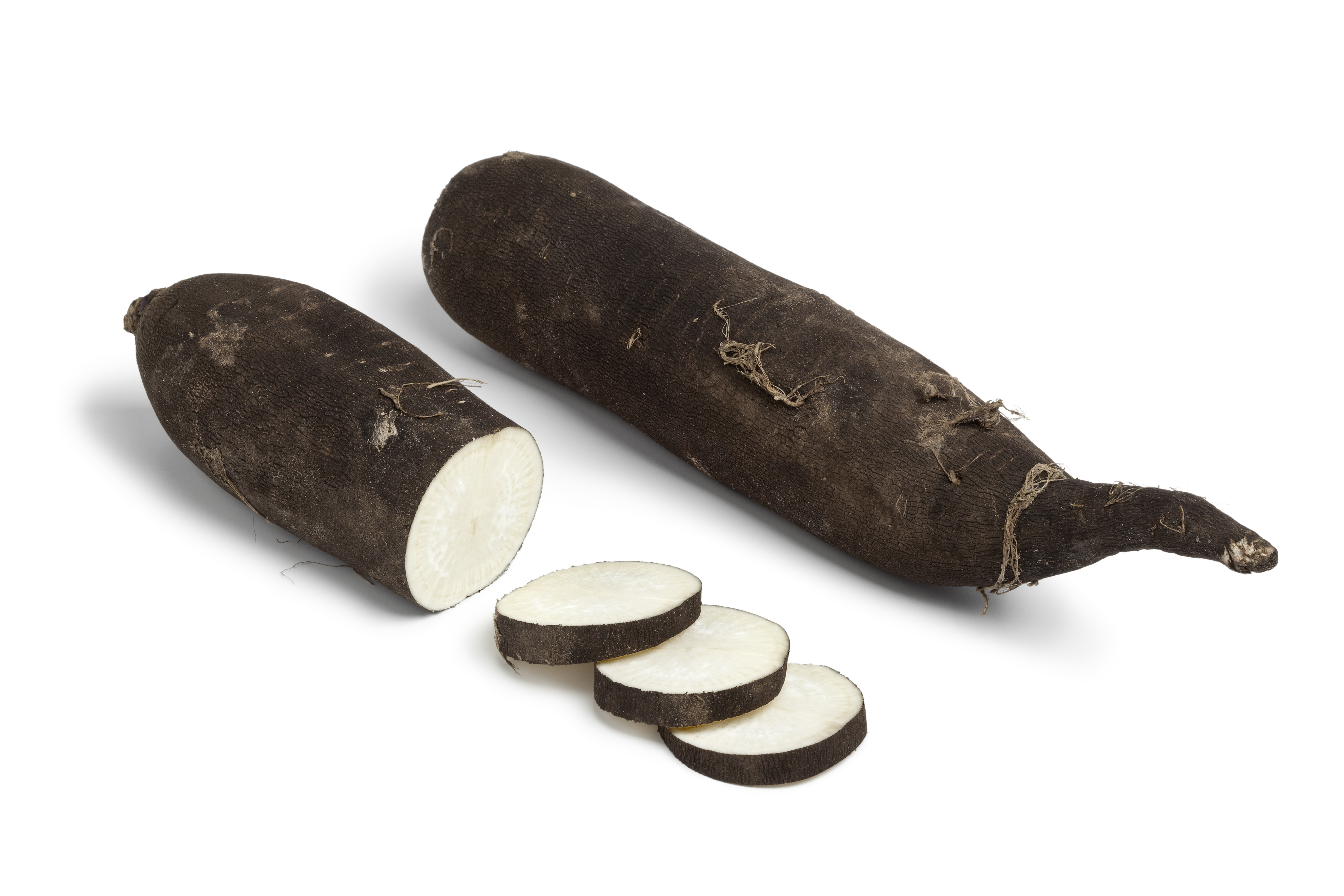 Sachet de graines de radis noir gros long d'hiver de paris - sachet de 10 grammes - petite entreprise française - made in france