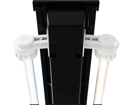 JUWEL Vision 450 aquarium inclusief LED-verlichting, verwarming, filter, zonder kast, zwart