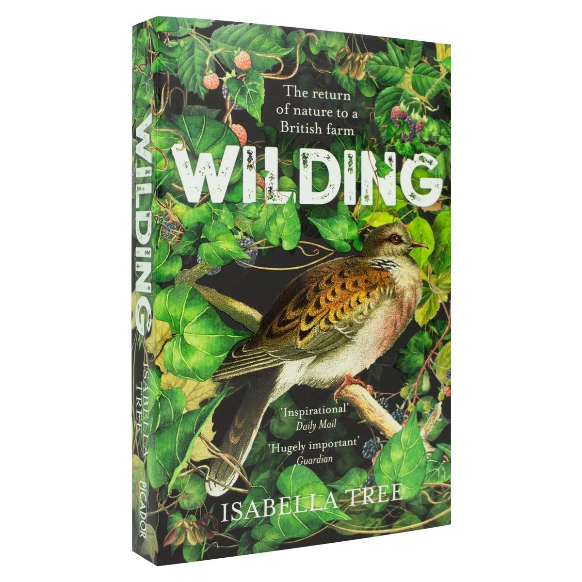 Wilding: The Return of Nature to a British Farm (Paperback)