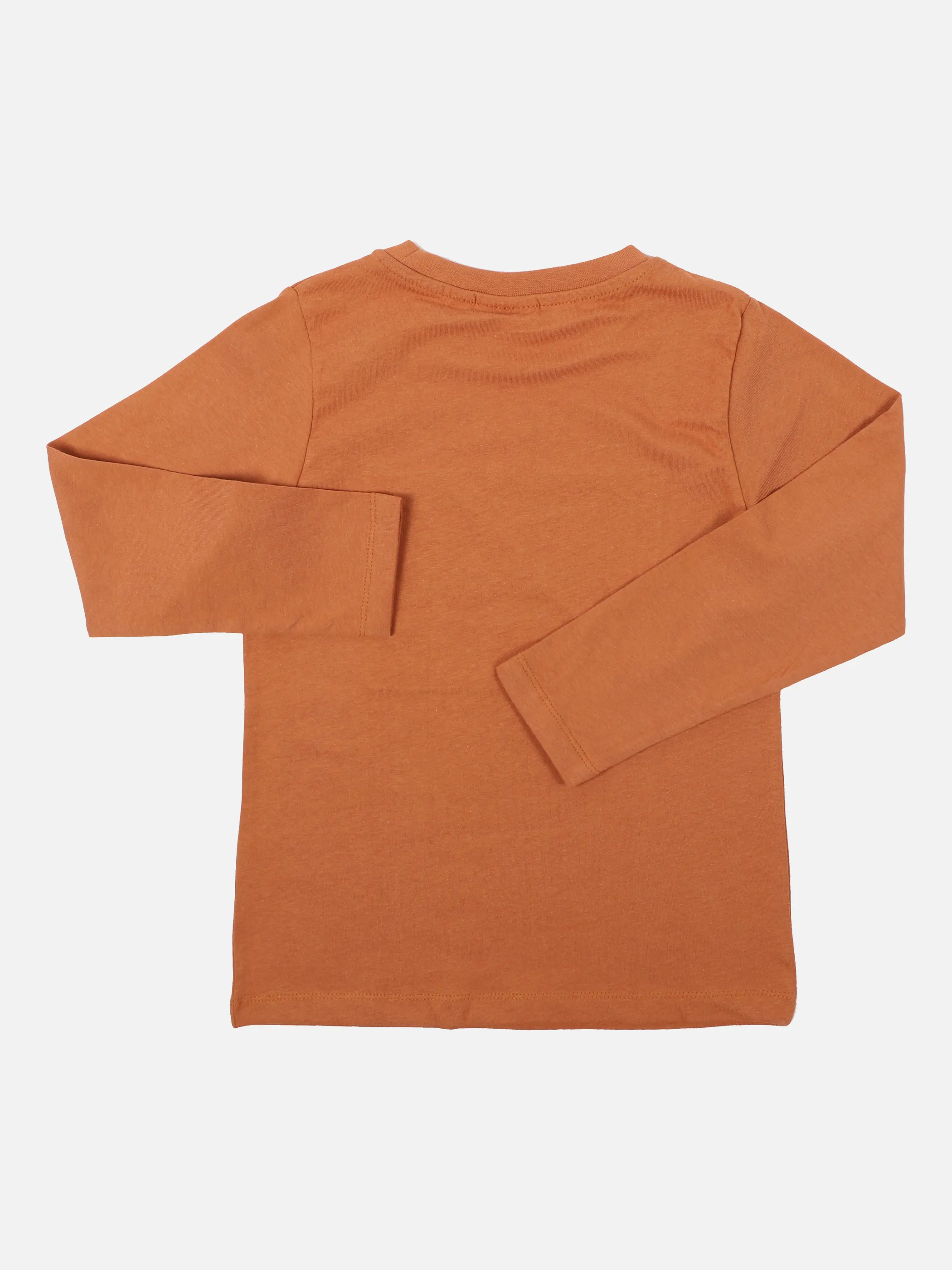 Jungen Langarm Shirt mit Dino Wackelbild