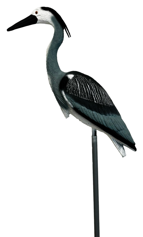 Superfish Bird Heron S