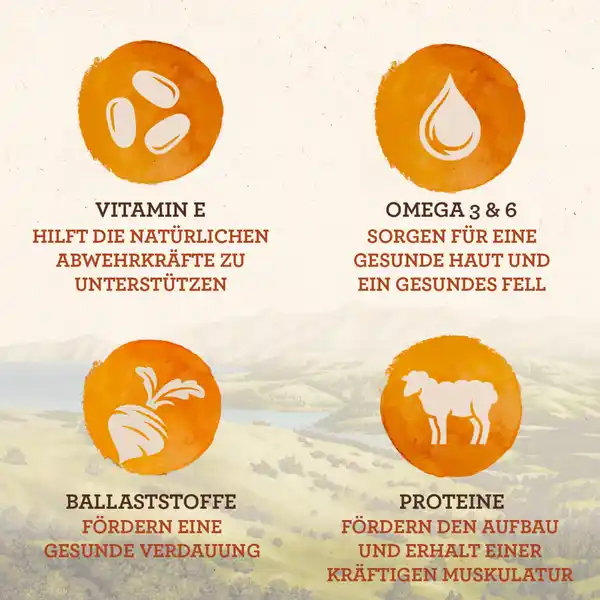 Naturally mit Lamm aus Neuseeland in Sauce