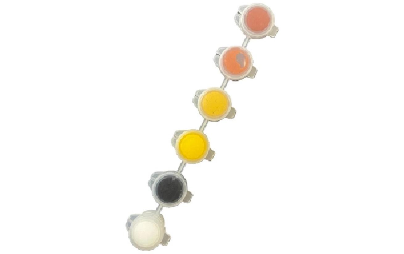 Versiegelung 6 x 2 g, NaturalFarbe für das Einfärben von Giesspulver