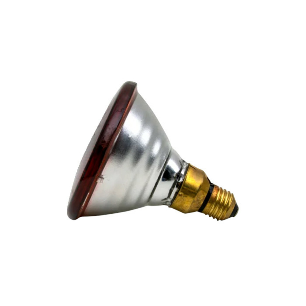 Ampoule infrarouge par 175 w rouge