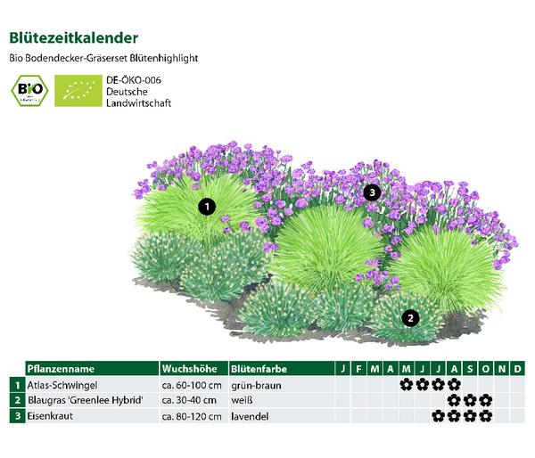 Bio Bodendecker Gräser-Set mit