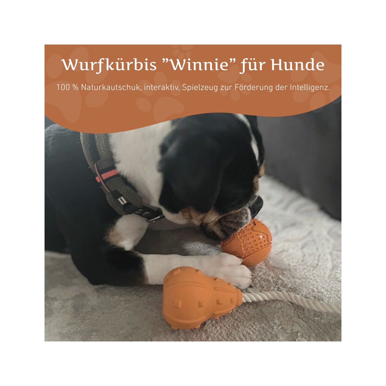 Wildfang ® Naturkautschuk Wurfspielzeug - Wurfkürbis 