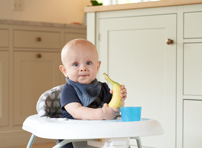 BabyDan Gåstol, Grå
