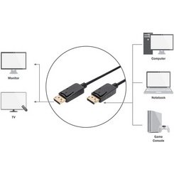 Câble de connexion DisplayPort, mâle - mâle, 1,0 m