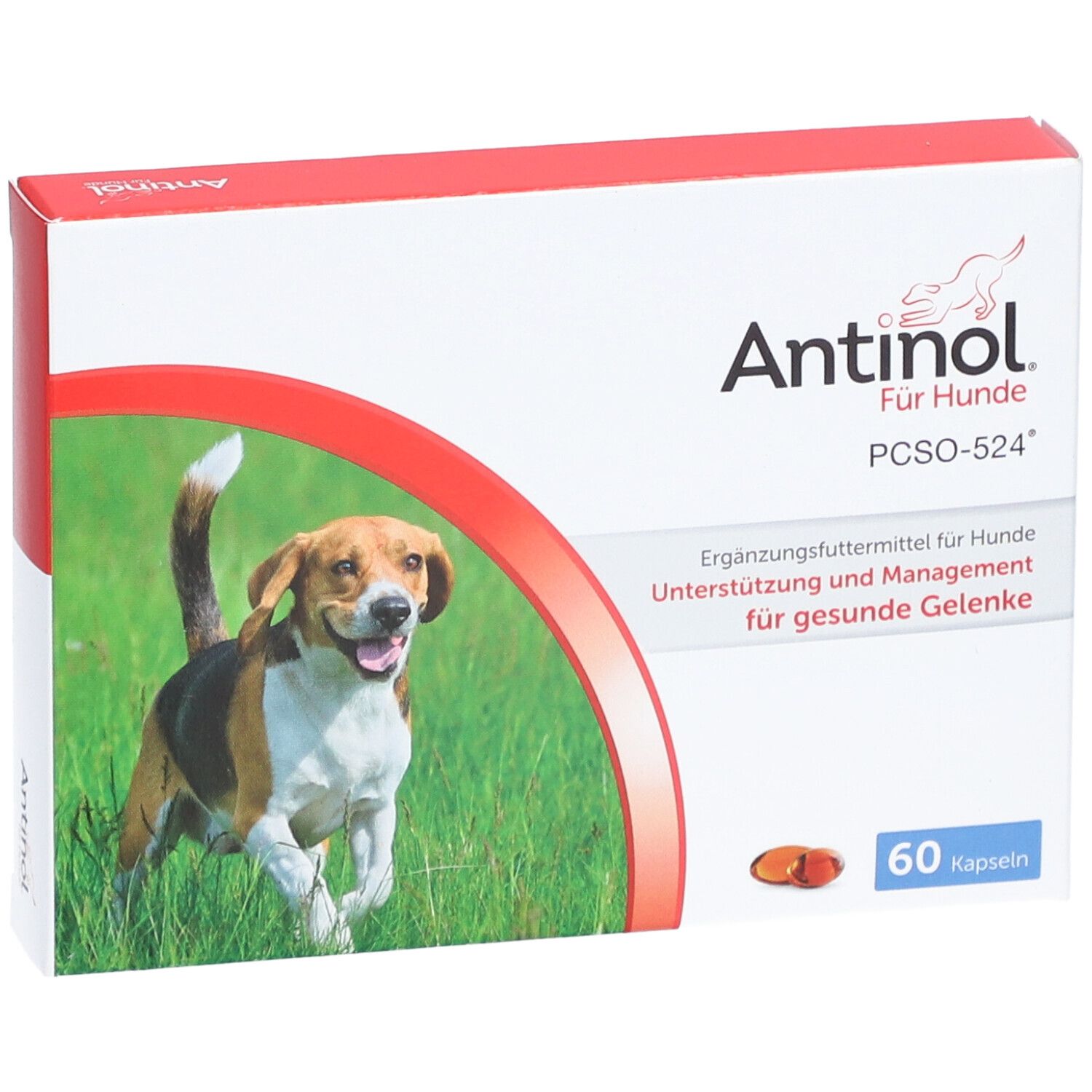 Antinol® Für Hunde