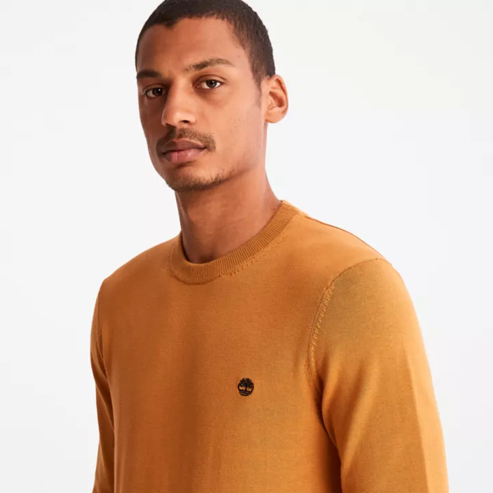Pull à col rond Williams River pour homme en orange