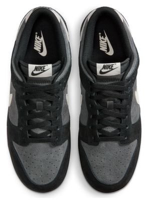 Chaussures Sportswear Nike Dunk Low Retro SE Noir/Gris/Beige Homme