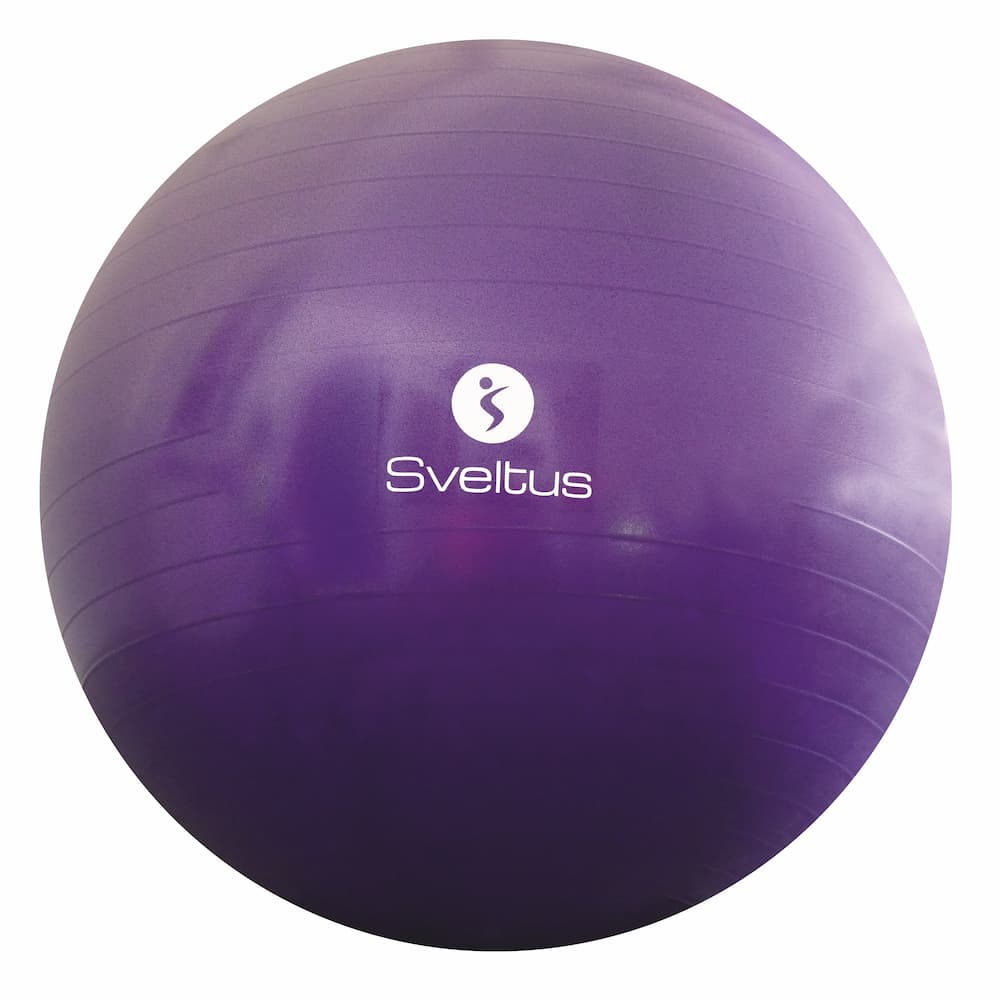 SVELTUS Gymball
