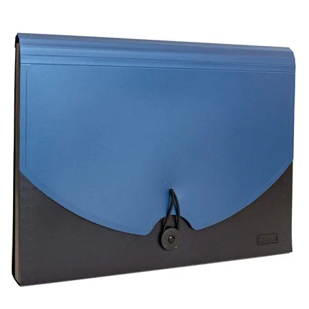Idena Fächermappe, DIN A4, 12 Fächer, blau/schwarz