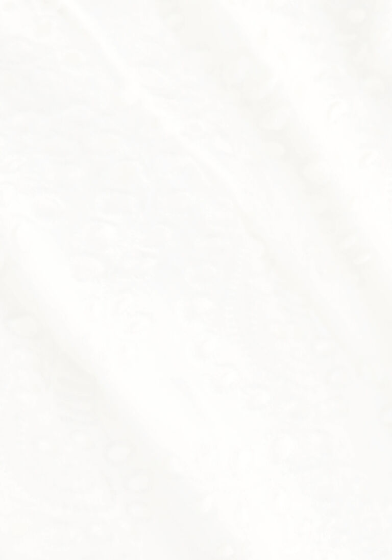 GUESS witte guess maxirok sangallo rafa long skirt