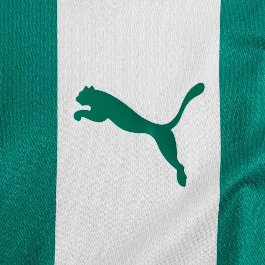 PUMA Maillot teamLIGA - Vert/Blanc