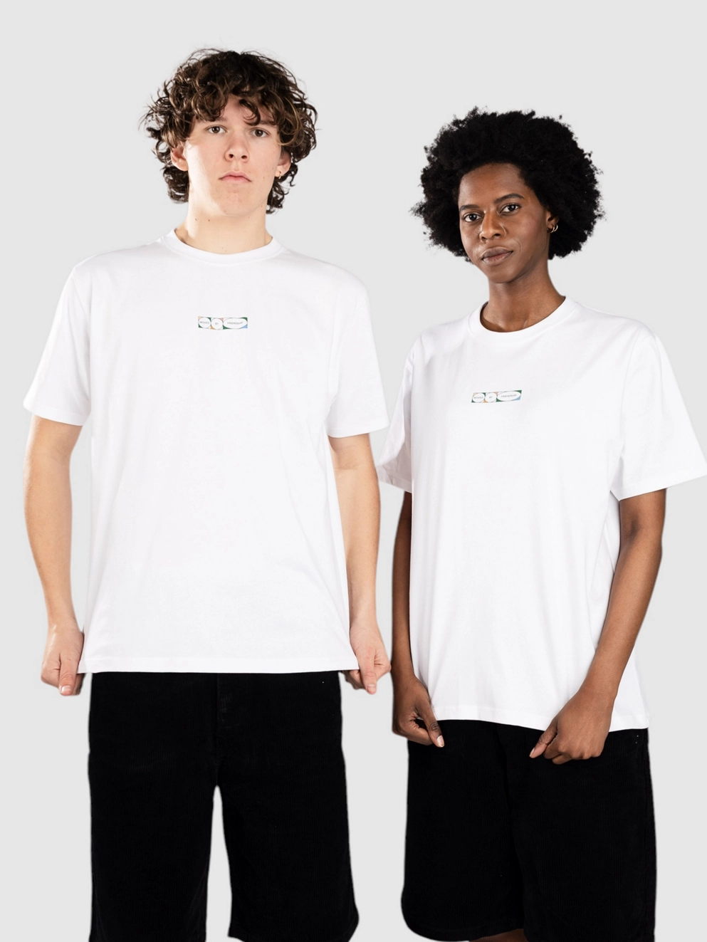 Ementa SB Lion T-Shirt white