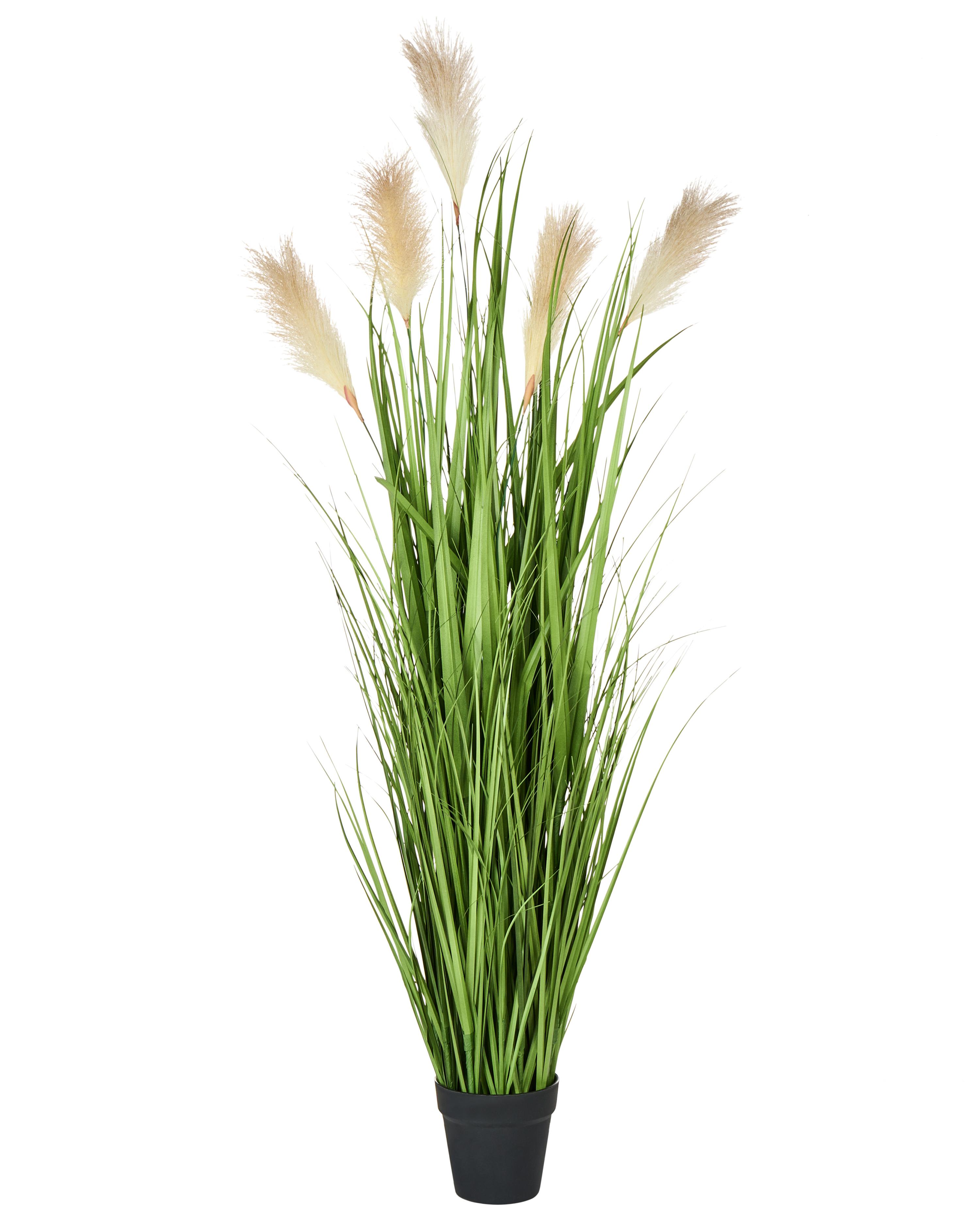 Kunstplant PAMPAS GRASS 130 cm Groen