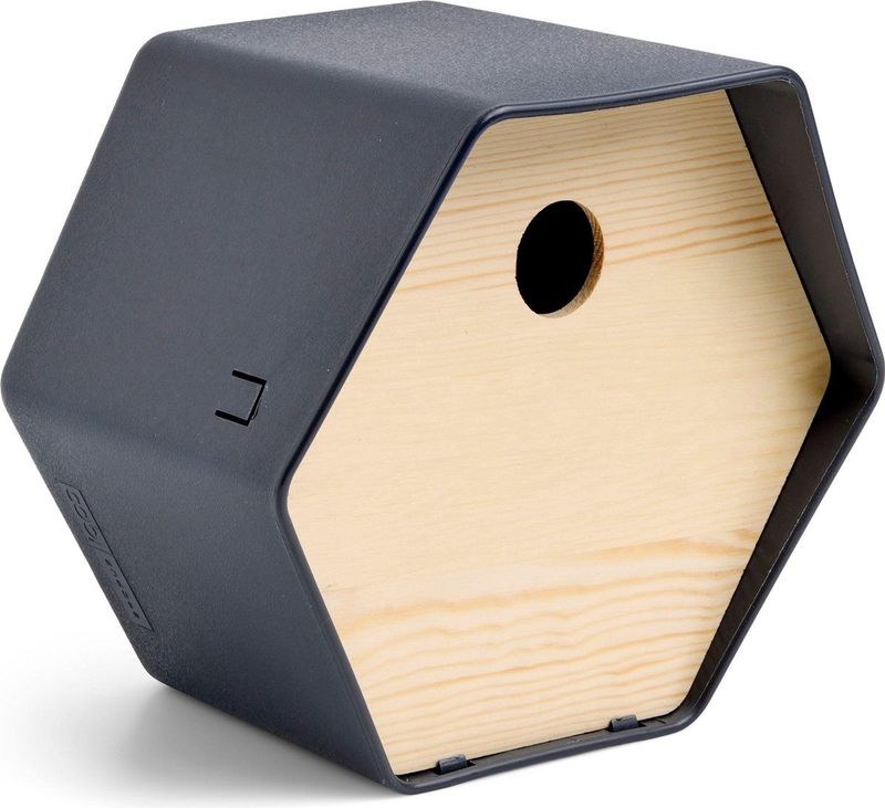 Capi Europe - Hive - Vogelhuisje - Antraciet