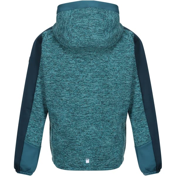Veste polaire randonnée REGATTA DISSOLVER VI PAGODA/DRGNF