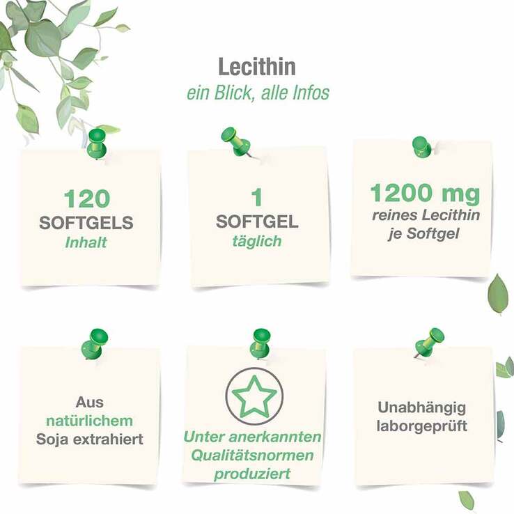 Lecithin 1200 mg Sojalecithin + Vitamin E vegan Weichk., 120 St