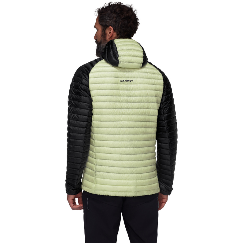 Mammut Herren Aenergy In Hoodie Jacke