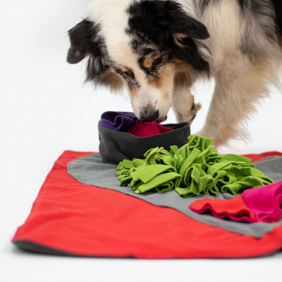 Sniffpad Heart - Knauder's Best