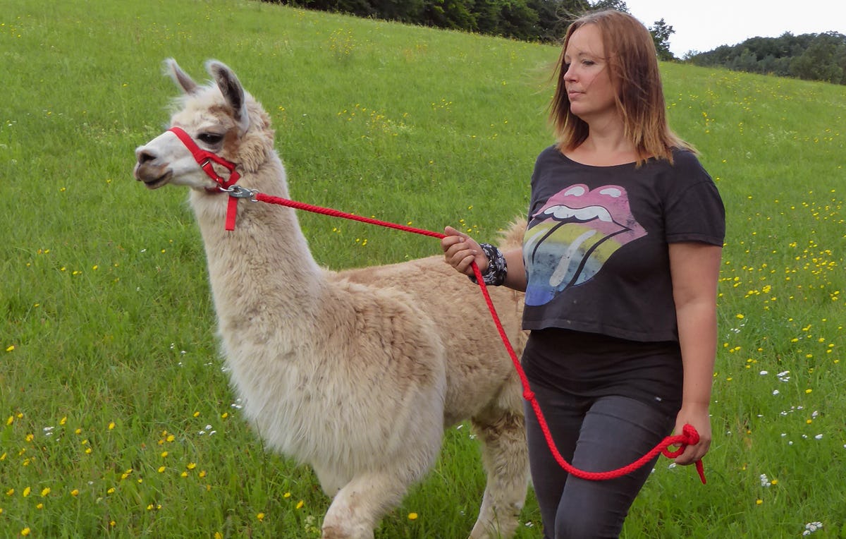 Lama Erlebnistag & Yoga Retzstadt