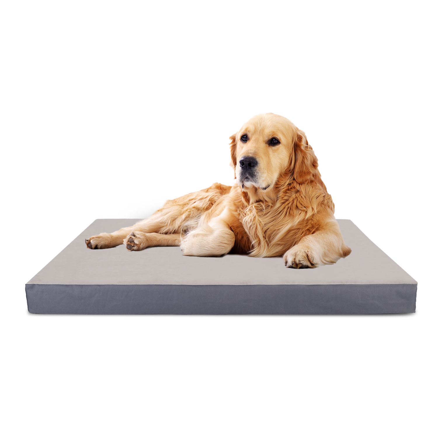 Cama ortopédica grande para cães, tapete lavável para cães, colchão para cães com capa removível, enchimento espesso, formato de ovo.