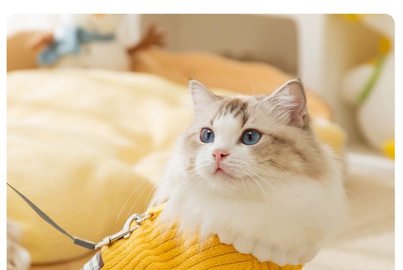 Cissilli - Letterapplicatie Coral Fleece Pet Overall