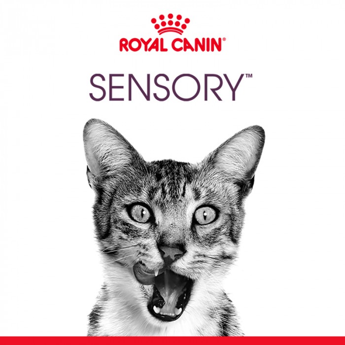 Royal Canin Sensory Smell